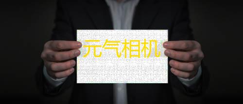 第五人格透视辅助安卓元气相机